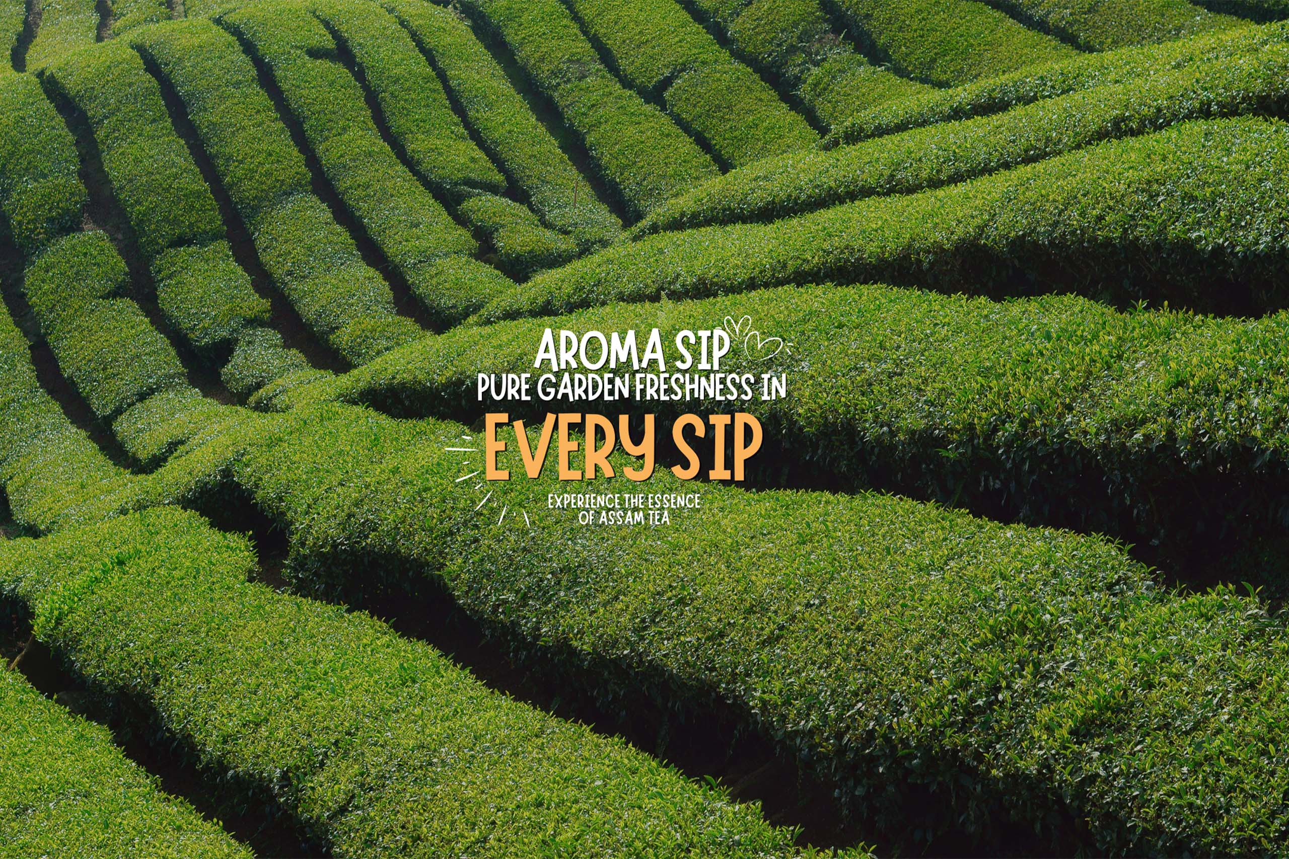 About Us Main Banner